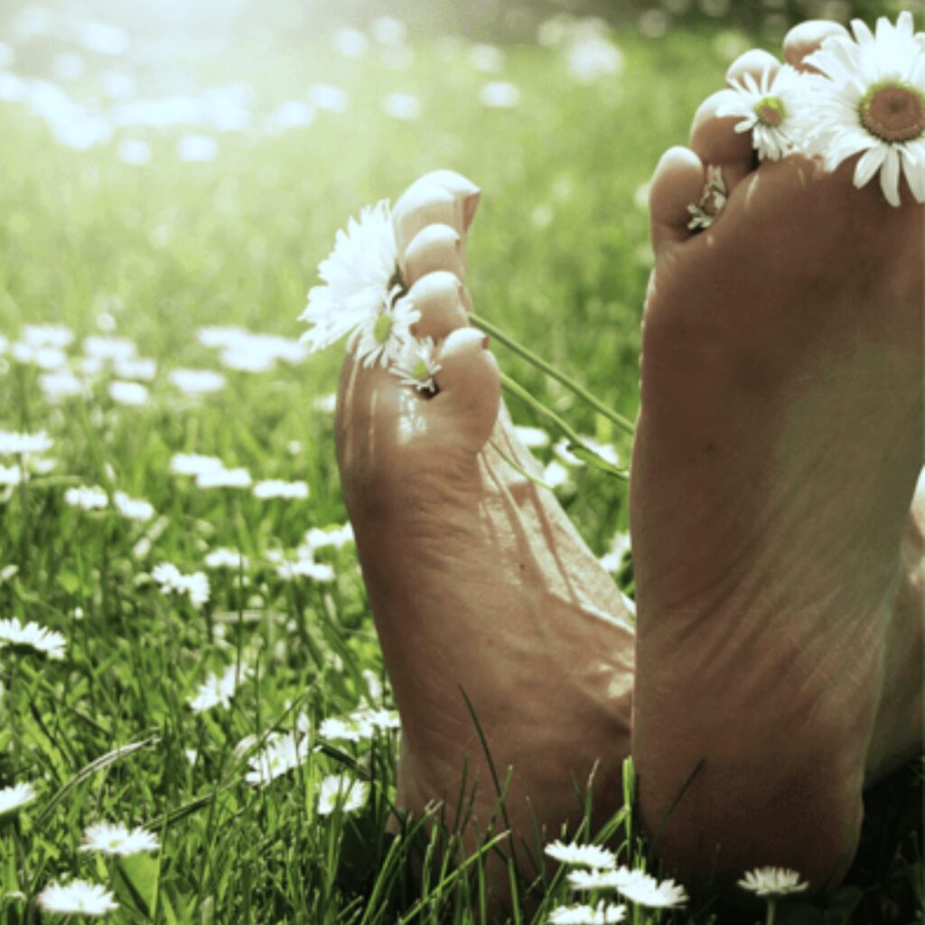 Nahaufnahme zweier nackter Füße, die entspannt in einer grünen Wiese voller Gänseblümchen liegen. Zwischen den Zehen sind kleine weiße Blüten gesteckt, das Sonnenlicht fällt warm und weich über die Szene. Das Bild strahlt Ruhe, Entschleunigung und bewusstes Ankommen im Moment aus – Barfuß im Gras als Symbol für Erdung und Loslassen.